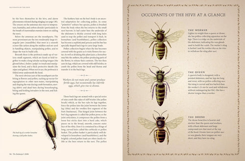 The Beekeeping Handbook