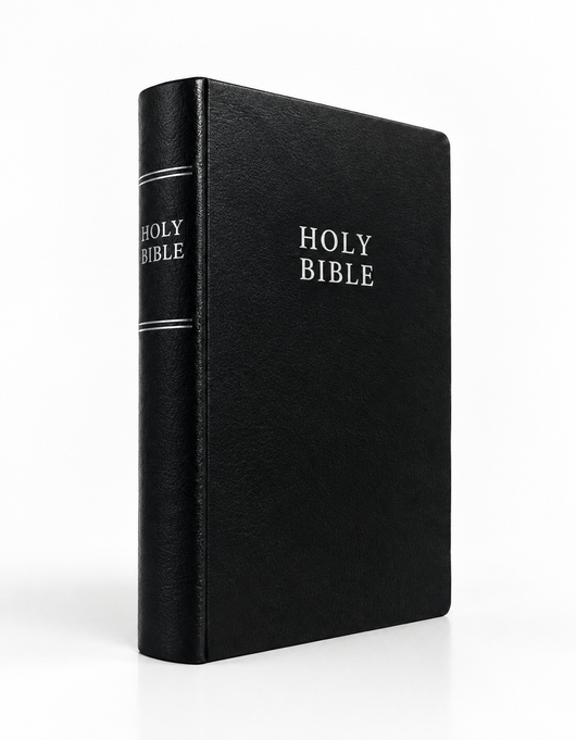 NIV, Gift and Award Bible, Leather-Look, Red Letter Edition, Comfort Print
