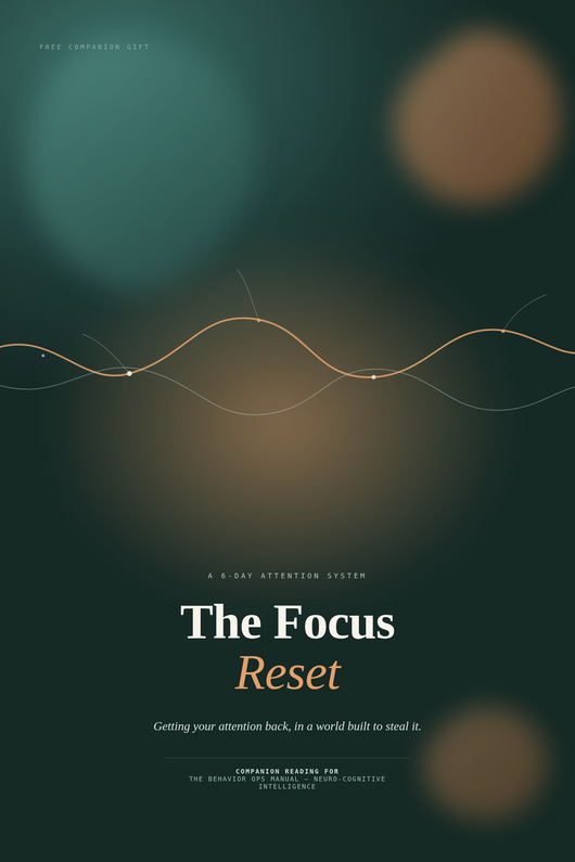 EBook- The Focus Reset