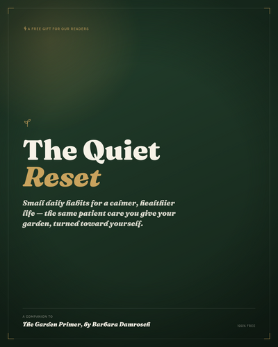 The Quiet Reset